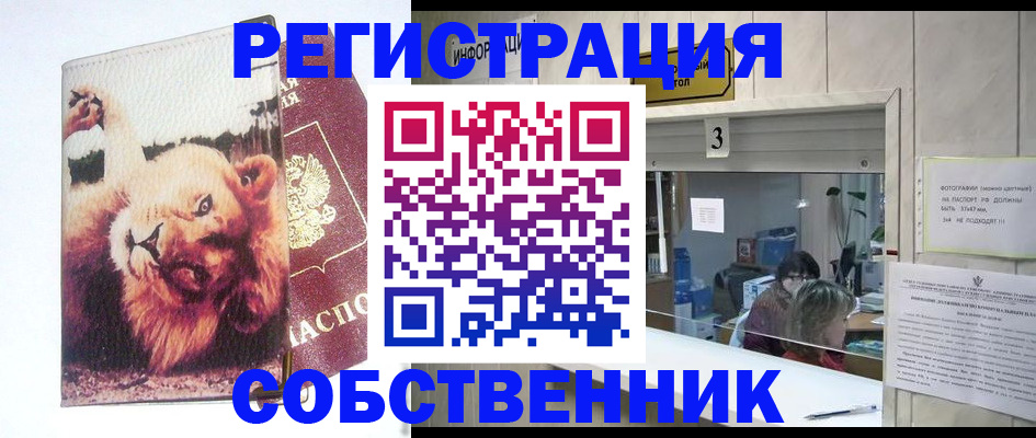 прописка поиск в Петровске